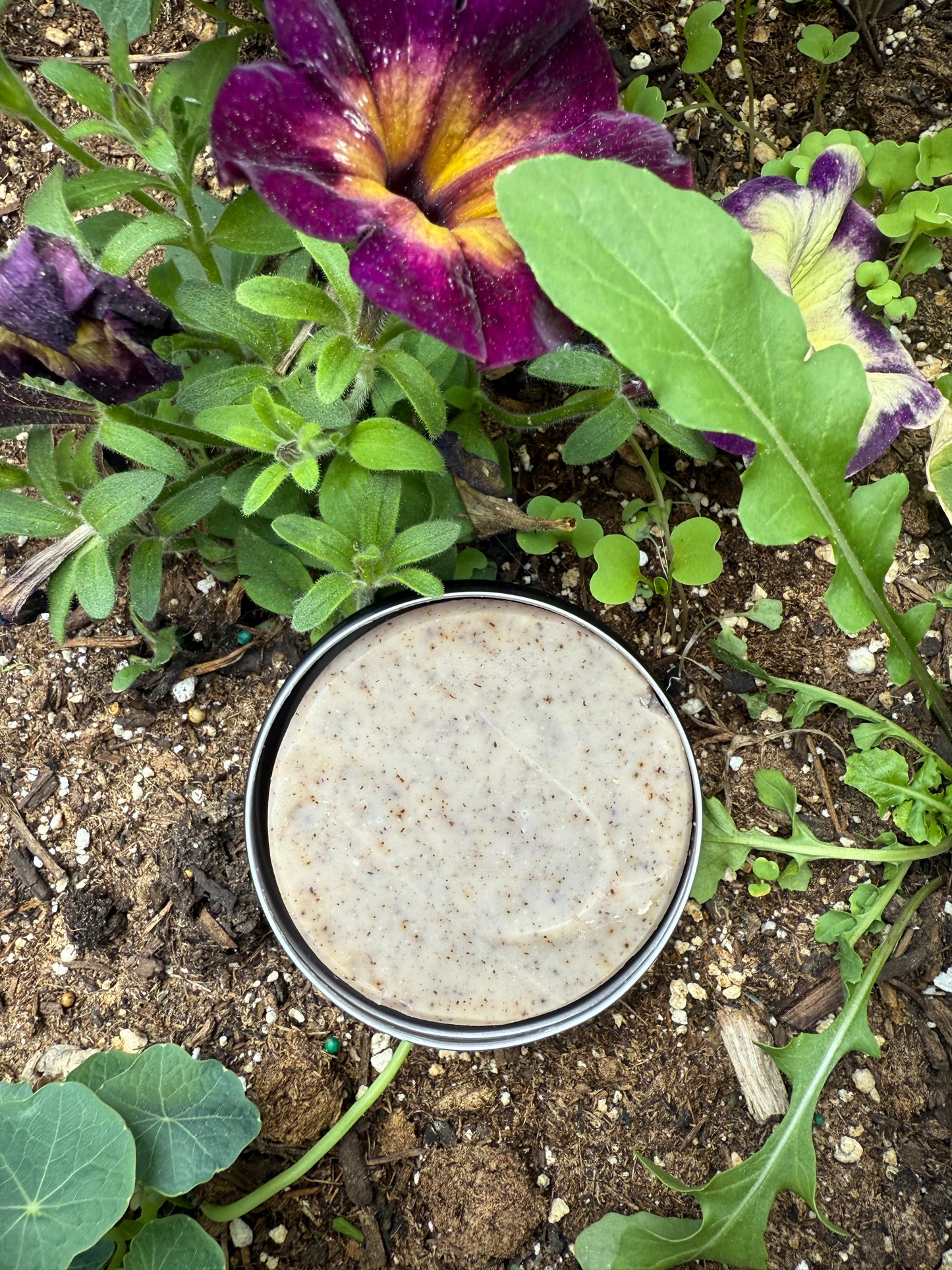 Anti-Aging Earth Face Bar