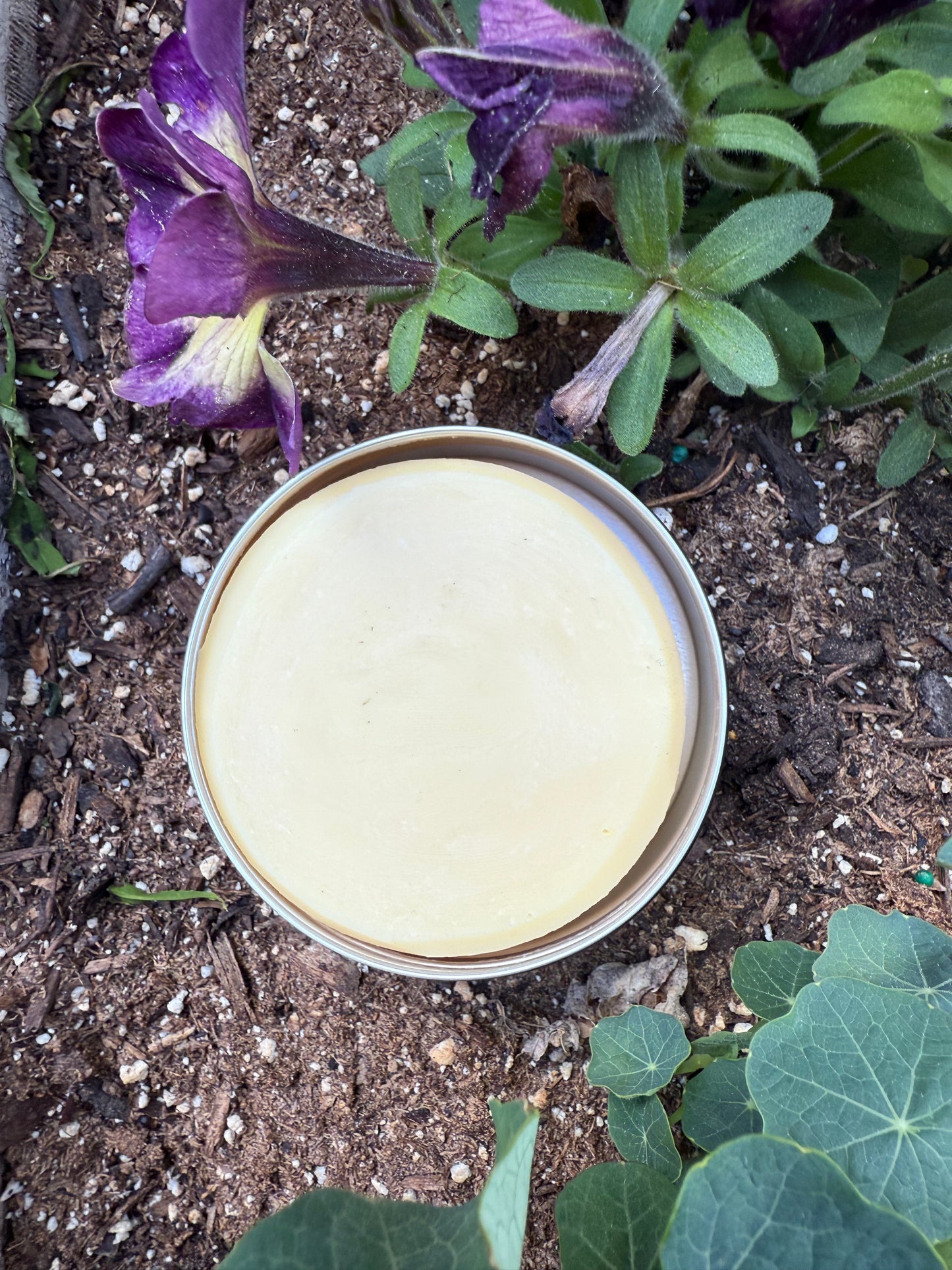 Blackberry Mint Kombucha Face Bar