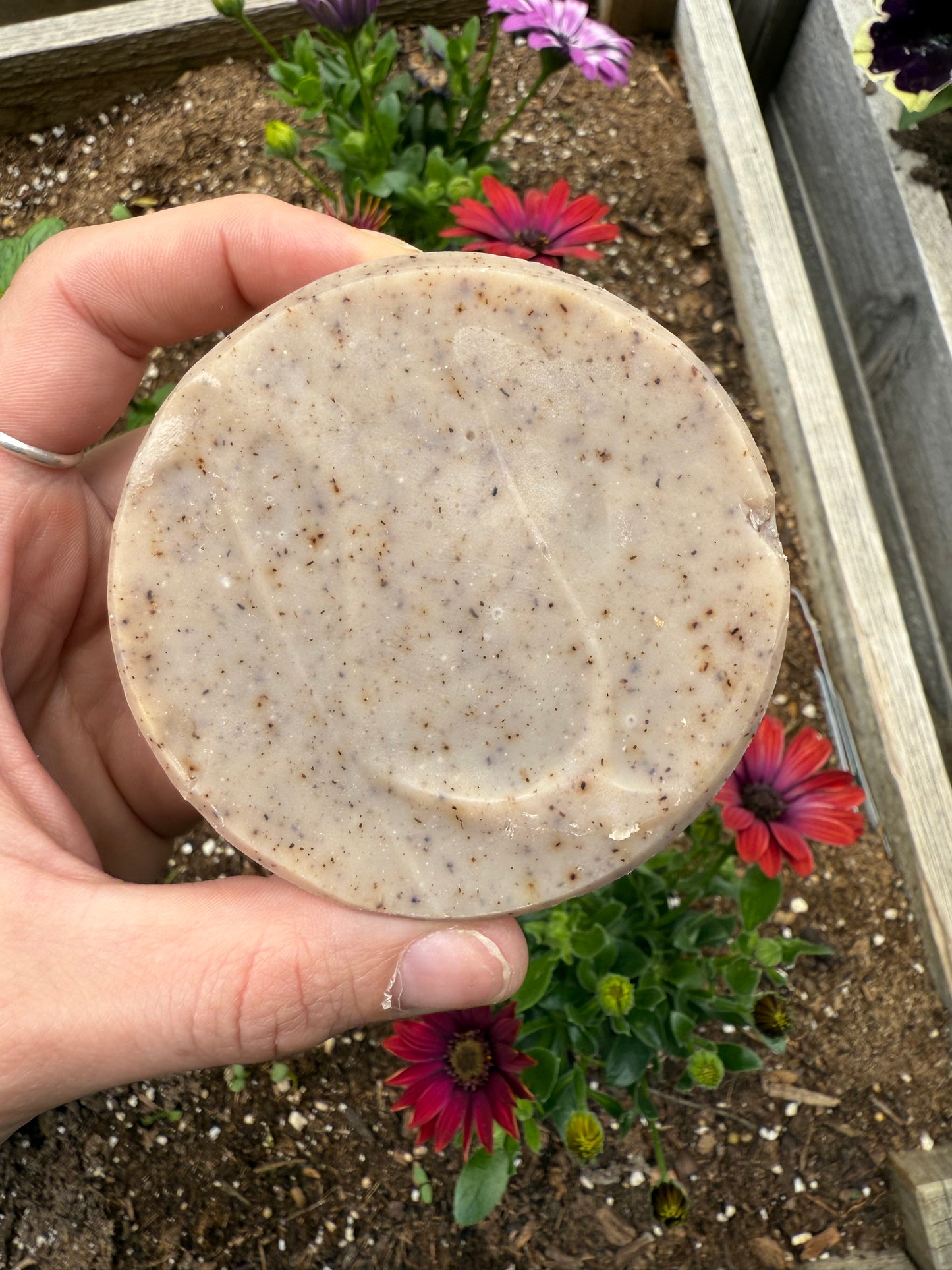 Anti-Aging Earth Face Bar