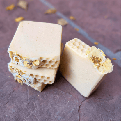 Handcrafted tallow soap bars showing smooth surfaces and decorative botanical honeycomb edges
