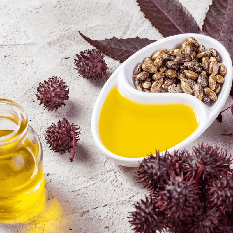 A tray of castor oil with castor oil seeds and pods around it on a cement surface. 