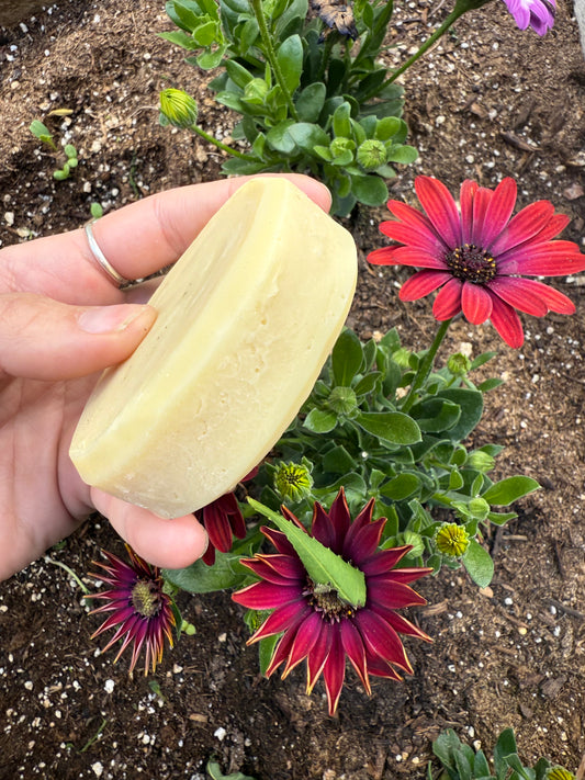 Blackberry Mint Kombucha Face Bar