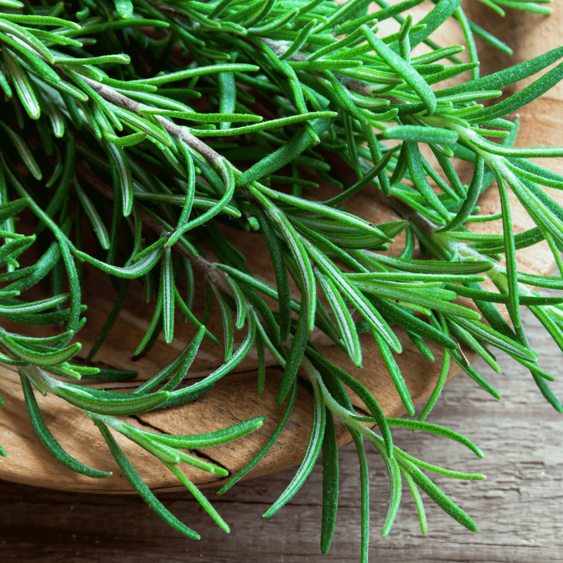 Sprigs of rosemary on a wooden tray.