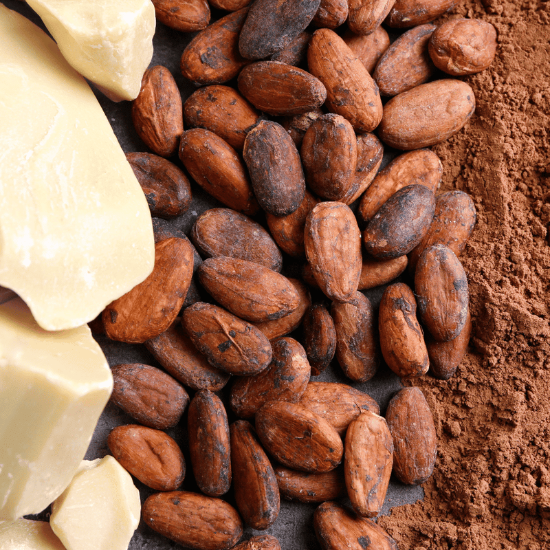 A close up of cocoa butter, cocoa butter pods and cocoa powder all lined up