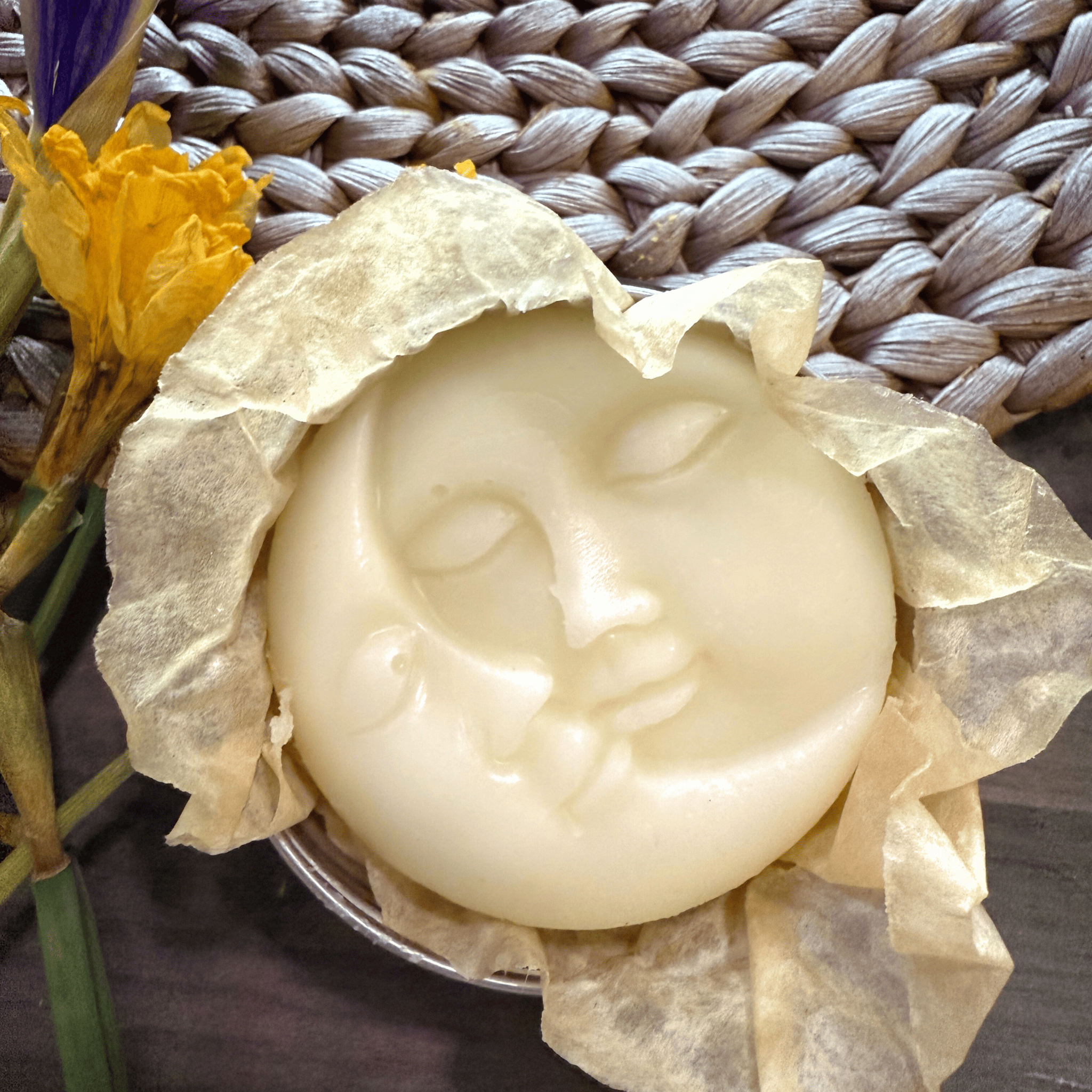 Sun & Moon Tallow Lotion Bars