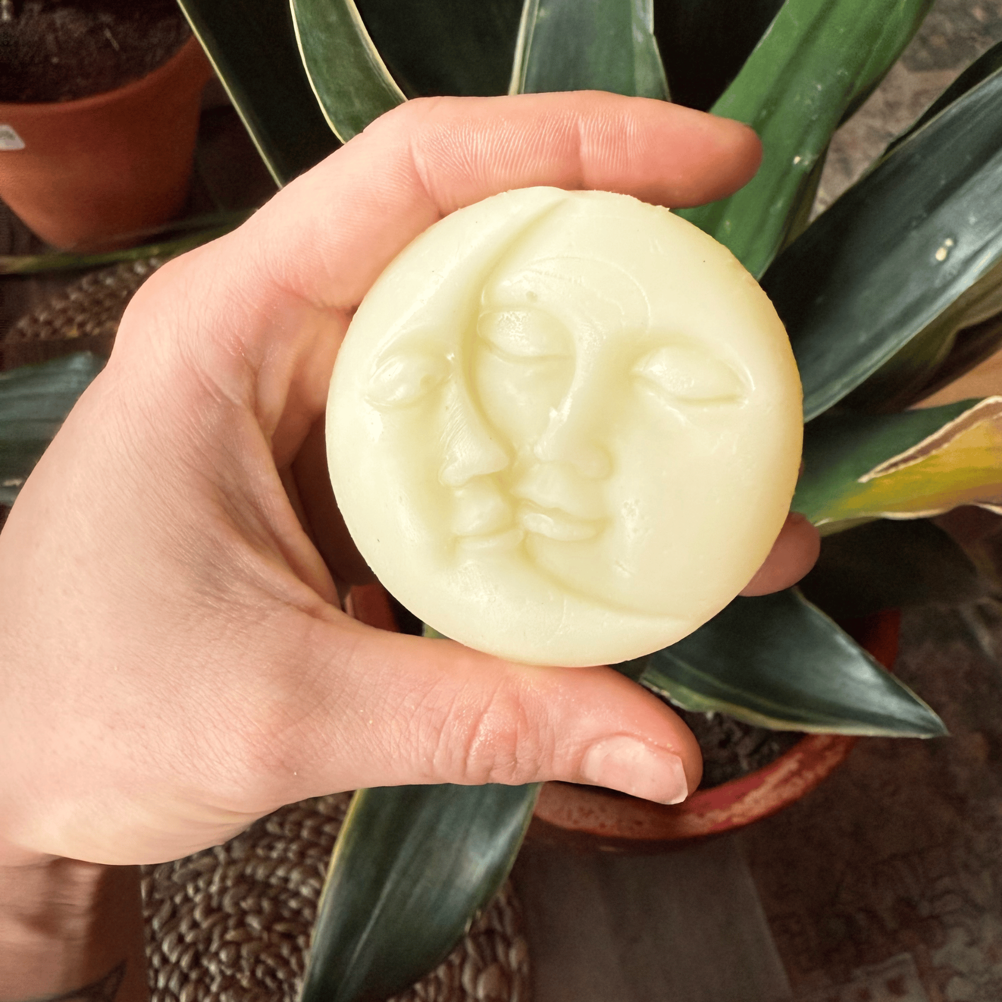 Sun & Moon Tallow Lotion Bars