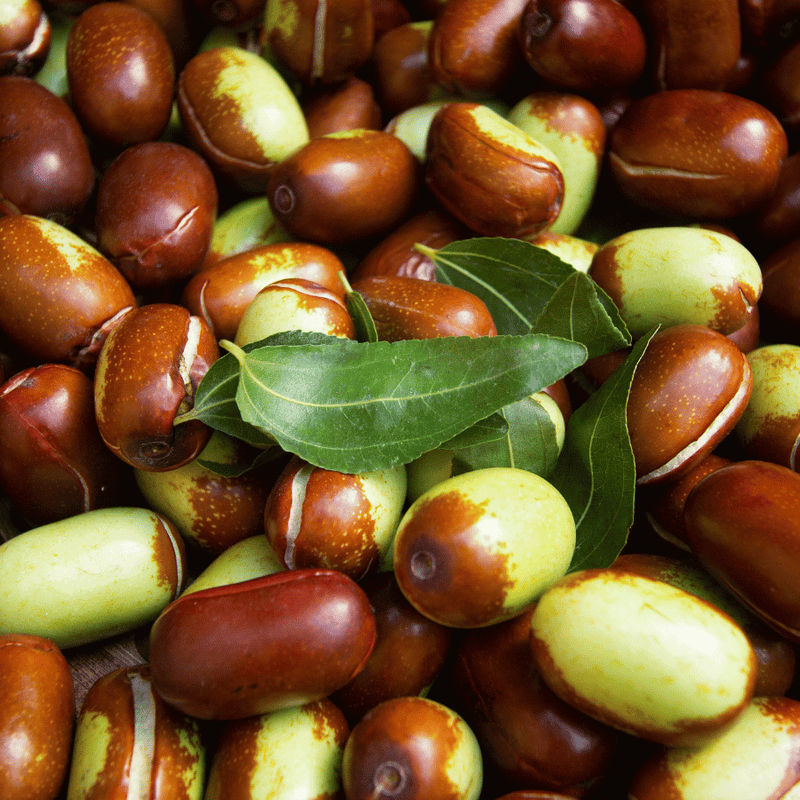 A close up of jojoba seeds
