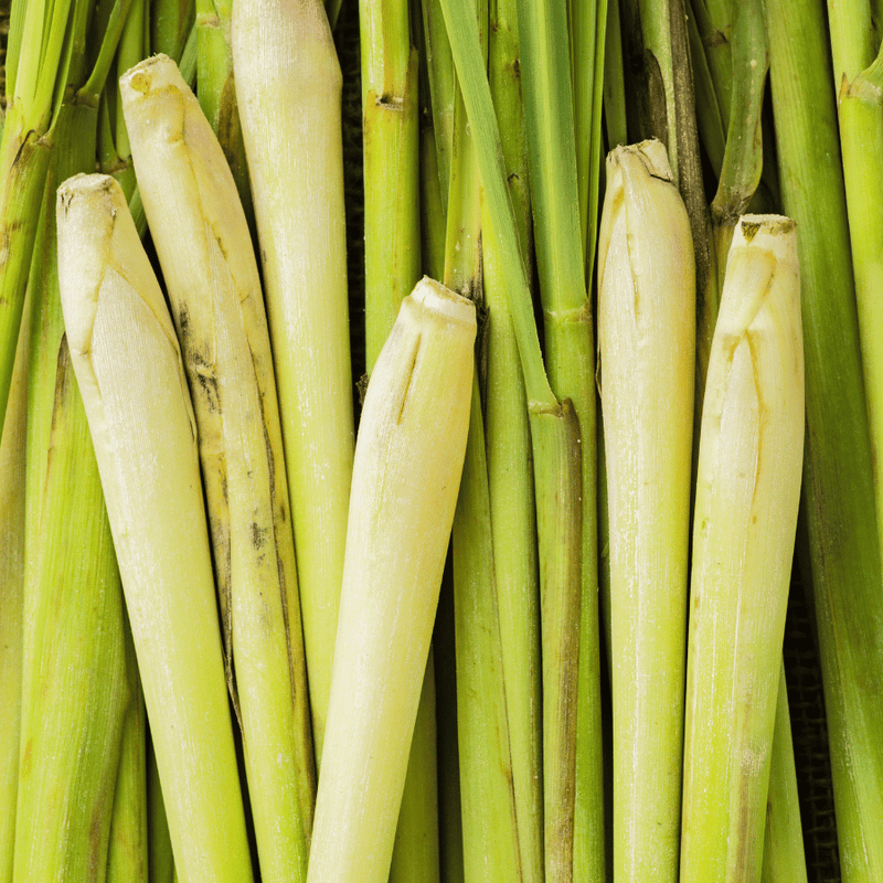 A close up of fresh lemongrass